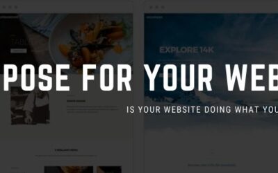 Purpose for your website